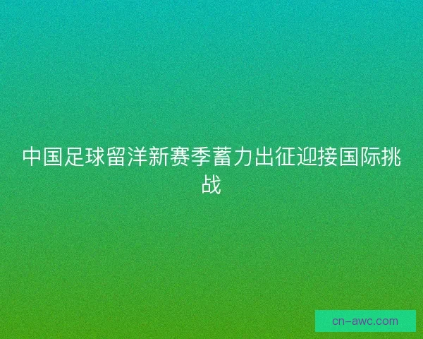 中国足球留洋新赛季蓄力出征迎接国际挑战