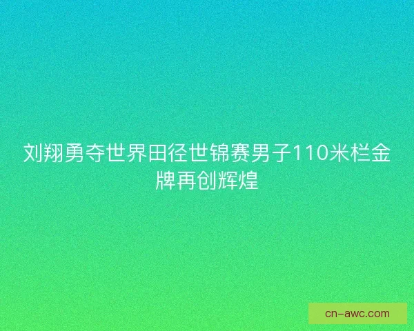 刘翔勇夺世界田径世锦赛男子110米栏金牌再创辉煌