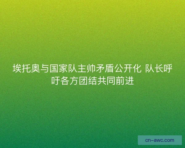 埃托奥与国家队主帅矛盾公开化 队长呼吁各方团结共同前进