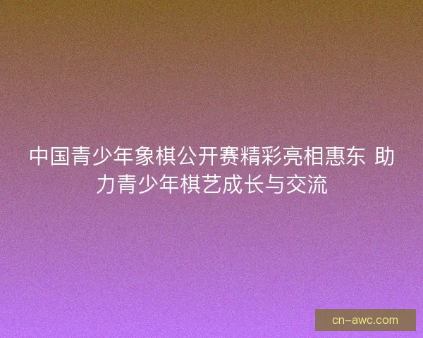 中国青少年象棋公开赛精彩亮相惠东 助力青少年棋艺成长与交流