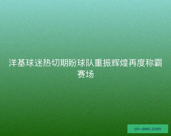 洋基球迷热切期盼球队重振辉煌再度称霸赛场